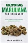 Luca Morales - Growing Marijuana for Beginners