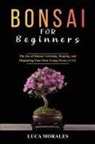 Luca Morales - Bonsai for Beginners
