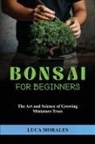 Luca Morales - Bonsai for Beginners