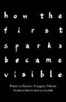 Simone Atangana Bekono - how the first sparks became visible