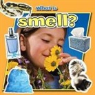 Molly Aloian - What Is Smell?