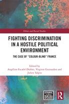 Angeline (Universite Lumiere Lyon Escafre-Dublet, Angéline Escafré-Dublet, Virginie Guiraudon, Guiraudon Virginie, Julien Talpin, TALPIN JULIEN - Fighting Discrimination in a Hostile Political Environment