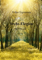 Walter Eigenmann - Sechs Elegien für Flöte solo