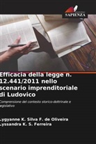 Lygyanne K. Silva F. de Oliveira, Lyssandra K. S. Ferreira - Efficacia della legge n. 12.441/2011 nello scenario imprenditoriale di Ludovico