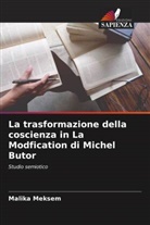 Malika Meksem - La trasformazione della coscienza in La Modfication di Michel Butor
