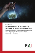 Marco Trevisani - Valorizzazione di biomasse e tecniche di attivazione abilitanti