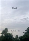 Matthew Miles - Bleak