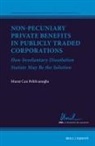 Murat Can Pehlivanoglu - Non-Pecuniary Private Benefits in Publicly Traded Corporations