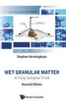 Stephan Herminghaus, Stephan Herminghaus - Wet Granular Matter: A Truly Complex Fluid
