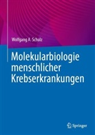 Wolfgang A Schulz, Wolfgang A. Schulz - Molekularbiologie menschlicher Krebserkrankungen