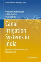 Umesh Chandra Chaube, Ashish Pandey, Vijay Singh, Vijay P Singh, Vijay P. Singh, Vijay P Singh - Canal Irrigation Systems in India