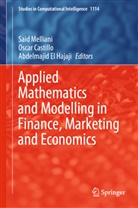 Oscar Castillo, Abdelmajid El Hajaji, Said Melliani - Applied Mathematics and Modelling in Finance, Marketing and Economics