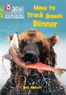 Rob Alcraft, Collins Big Cat - How to Track Down Dinner