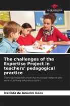 Iranilda de Amorim Góes - The challenges of the Expertise Project in teachers' pedagogical practice