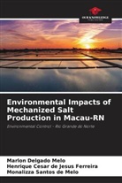Monalizza Santos de Melo, Henrique Cesar de Jesus Ferreira, Marlon Delgado Melo - Environmental Impacts of Mechanized Salt Production in Macau-RN