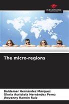 Baldemar Hernández Márquez, Gloria Auristela Hernández Perez, Jhovanny Ramón Ruiz - The micro-regions