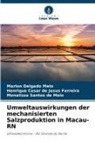 Monalizza Santos de Melo, Henrique Cesar de J Ferreira, Henrique Cesar de Jesus Ferreira, Marlon Delgado Melo - Umweltauswirkungen der mechanisierten Salzproduktion in Macau-RN