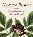 Marta McDowell, McDowell Marta - Healing Plants
