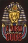 James Brown - A View from the Gods