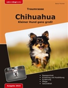 Bianca Thomsen - Traumrasse: Chihuahua
