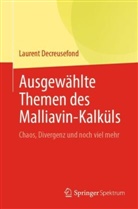 Laurent Decreusefond - Ausgewählte Themen des Malliavin-Kalküls