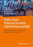 Gabriel Abrantes, André Bögelsack, Niklas Feil, Ramón Schulz, Ramón u a Schulz - Public Cloud Potenzial in einem Unternehmensumfeld