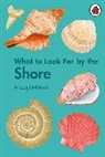 Becky Brown, Brown Becky, Laura Martín - What to Look For by the Shore
