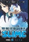Fuse, Taiki Kawakami, Mitz Vah, Mitz Vah - That Time I Got Reincarnated as a Slime Omnibus 1 (Vol. 1-3)
