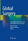 Mark A Hardy, Mark A. Hardy, Beth R. Hochman, R Hochman - Global Surgery