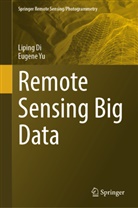 Liping Di, Eugene Yu - Remote Sensing Big Data