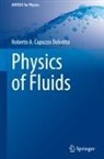 Roberto A Capuzzo Dolcetta, Roberto A. Capuzzo Dolcetta - Physics of Fluids