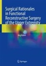 Jörg Bahm - Surgical Rationales in Functional Reconstructive Surgery of the Upper Extremity