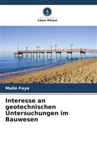 Mallé Faye - Interesse an geotechnischen Untersuchungen im Bauwesen