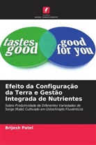 Brijesh Patel - Efeito da Configuração da Terra e Gestão Integrada de Nutrientes