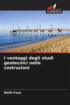 Mallé Faye - I vantaggi degli studi geotecnici nelle costruzioni
