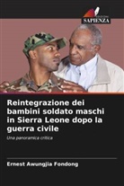 Ernest Awungjia Fondong - Reintegrazione dei bambini soldato maschi in Sierra Leone dopo la guerra civile