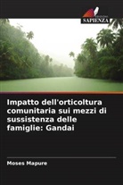 Moses Mapure - Impatto dell'orticoltura comunitaria sui mezzi di sussistenza delle famiglie: Gandai