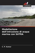 C. P. Kumar - Modellazione dell'intrusione di acqua marina con SUTRA