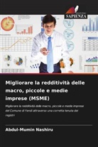 Abdul-Mumin Nashiru - Migliorare la redditività delle macro, piccole e medie imprese (MSME)