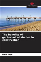Mallé Faye - The benefits of geotechnical studies in construction