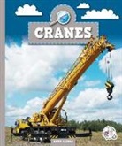 Marv Alinas - Cranes