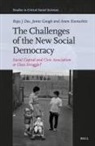 Raju J Das, Raju J. Das, Aram Eisenschitz, Jamie Gough - The Challenges of the New Social Democracy