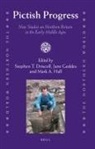 Rajendra Ramlogan - Pictish Progress