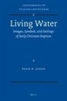 Robin Jensen - Living Water