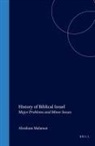 Abraham Malamat - History of Biblical Israel
