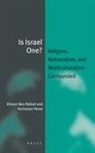 Eliezer Ben-Rafael, Yochanan Peres - Is Israel One?