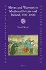 David Wyatt - Slaves and Warriors in Medieval Britain and Ireland, 800 -1200