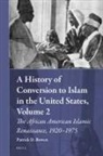Patrick D Bowen, Patrick D. Bowen - A History of Conversion to Islam in the United States, Volume 2