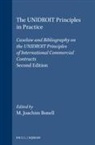 Michael Joachim Bonell - The Unidroit Principles in Practice
