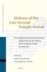 Pierre van Hecke, Eibert J C Tigchelaar, Eibert J. C. Tigchelaar - Hebrew of the Late Second Temple Period
